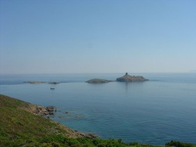 Mur�ne plong�e en Corse